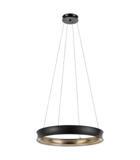 Larousse Integrated LED Medium Pendant Light Black & Brass 2665K-1