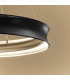 Larousse Integrated LED Medium Pendant Light Black & Brass 2665K-4