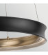 Larousse Integrated LED Medium Pendant Light Black & Brass 2665K-5
