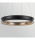 Larousse Integrated LED Medium Pendant Light Black & Brass 2665K-9
