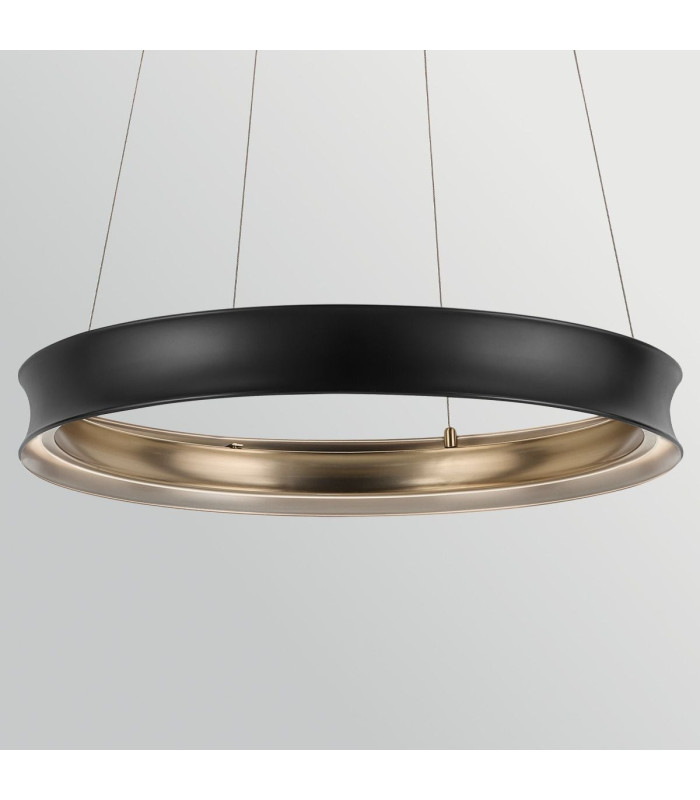 Larousse Integrated LED Medium Pendant Light Black & Brass 2665K-9