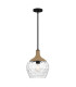 Quoizel Royer Dome Pendant Ceiling Light Contemporary