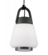Ceiling Pendant, 1 x E27, IP65, Anthracite - 4
