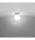 Yoli Single Globe Ceiling Light Taupe 1x G9-4