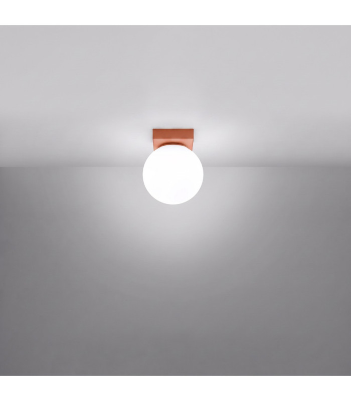 Yoli Single Globe Ceiling Light Red Ochre 1x G9-4
