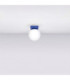 Yoli Single Globe Ceiling Light Ultramarine 1x G9-3