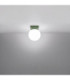 Yoli Single Globe Ceiling Light Olive Green 1x G9-4