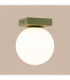 Yoli Single Globe Ceiling Light Olive Green 1x G9-6