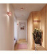 Aura Up & Down Wall Lamp Peach 2x G9-2