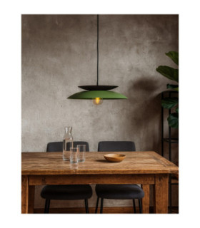 Ferro Dome Pendant Ceiling Light Green Black 1x E27-2
