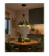 Sora Cluster Pendant Ceiling Light Green 3x E27-2