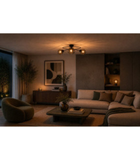 Lyra Globe Ceiling Light Black Smoky Glass Shade 3x E27-2