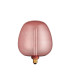 Roves E27 Bulb Pink Tinted Glass-8