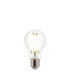 Ultra Efficient Class A E27 LED Filament GLS Bulb Clear Glass Bright Nickel-1