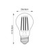 Ultra Efficient Class A E27 LED Filament GLS Bulb Clear Glass Bright Nickel-2