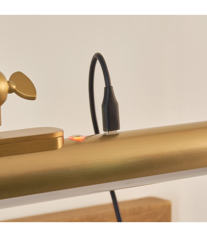 Kas Rechargeable Picture Light Warm Brass Frosted Pc-9