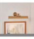 Dalyan Rechargeable Picture Light Warm Brass Frosted Pc-4