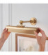 Dalyan Rechargeable Picture Light Warm Brass Frosted Pc-6