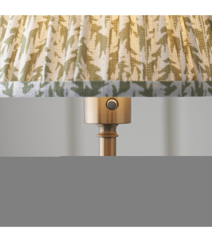 Burley Rechargeable & Leaf 25cm Floor Lamp Brushed Aged Brass Herb Garden Green-4