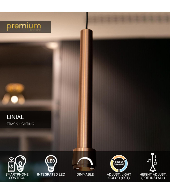 Lucide Premium LINIAL TUBIZ pendant - 1-Circuit lighting system/ Smart Rail Lighting - Smart - 48V Track - 1xLED -Champagne-3