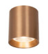 Lucide STRAXX - Ceiling spotlight - Ø 8 cm - LED Dim. - CCT - 1x15W 2700K/4000K - Champagne Color - Premium-1