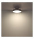 Carney Integrated LED Ceiling Fan Matt Chrome 2700-6500K-9