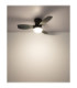 Irwin Integrated LED Ceiling Fan Matt Black 2700-6500K-6
