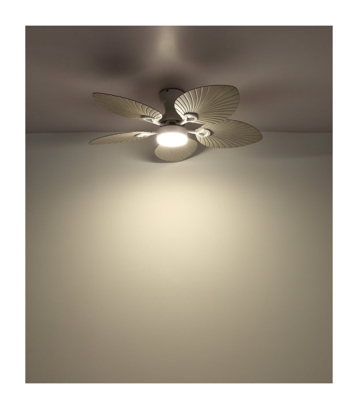 Elise Integrated LED Ceiling Fan Matt White 3000-6000-4500K-5