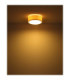 Page Cylindrical Ceiling Light Matt White 2x E27-3