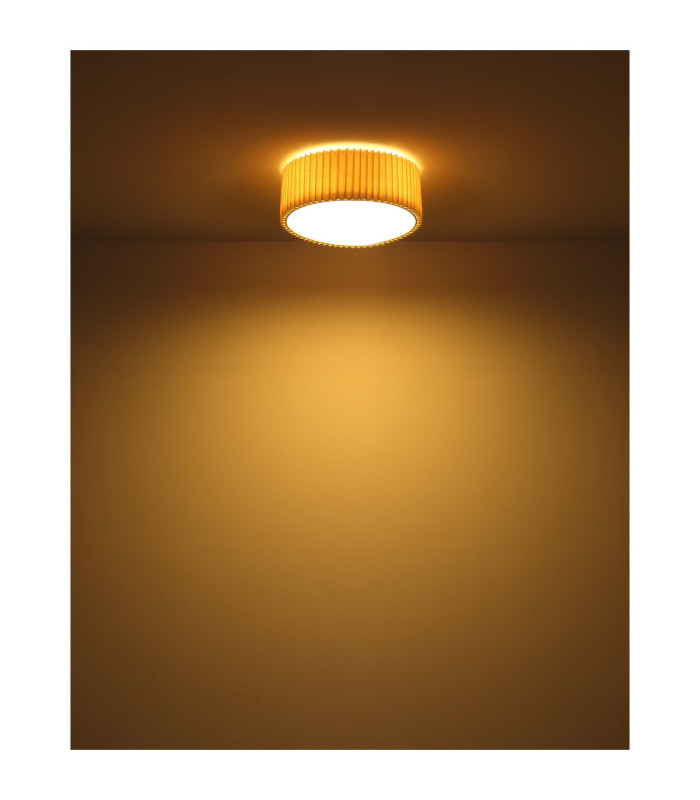 Page Cylindrical Ceiling Light Matt White 2x E27-3