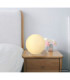Balla Globe Table Lamp Matt Nickel 1x E27-7