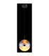 Severin 25cm Integrated LED Globe Pendant Ceiling Light Matt Black 3000K-4