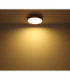Doro Round Integrated LED Panel Graphite 2700-6500K-7