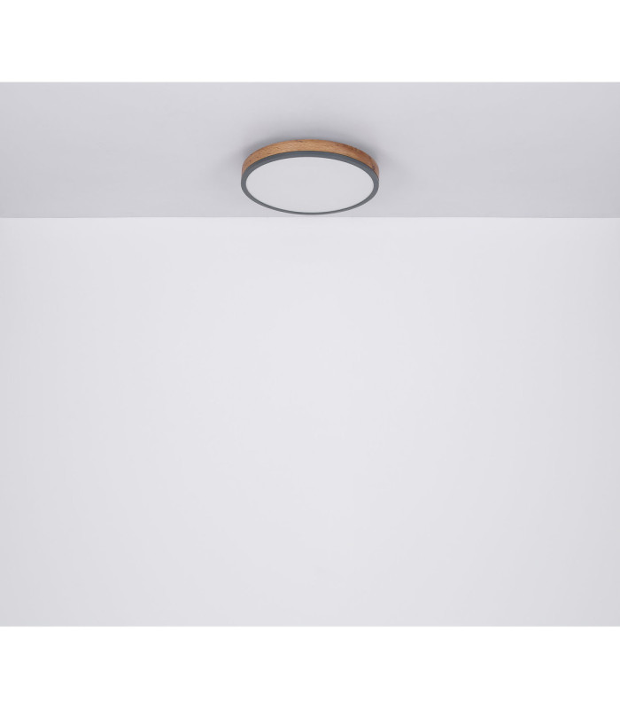 Doro Round Integrated LED Panel Graphite 2700-6500K-9