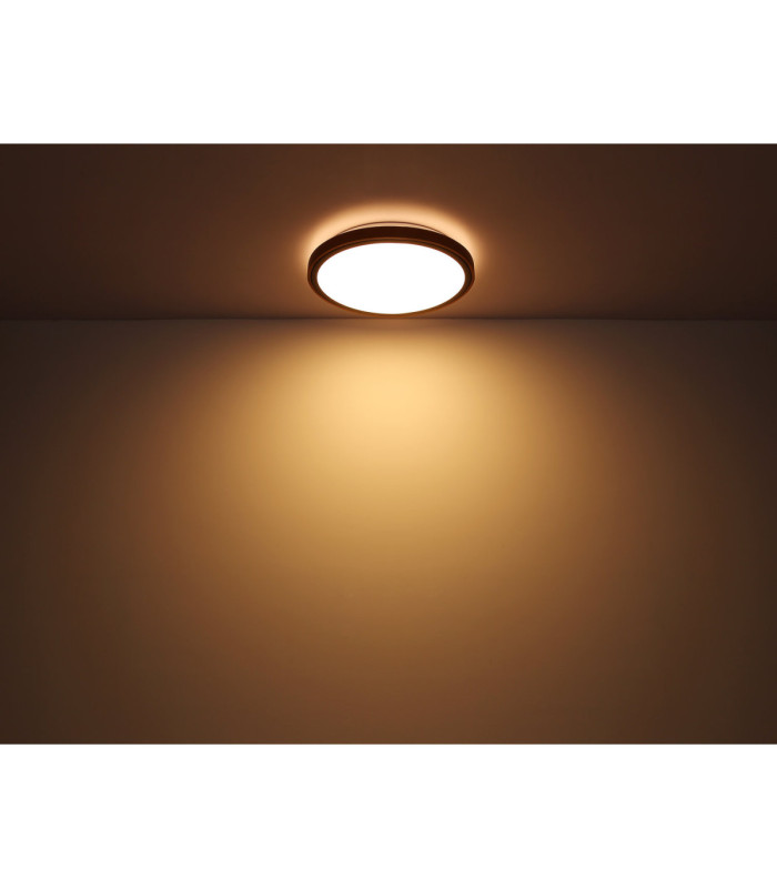 Bruno Integrated LED Flush Ceiling Light Matt Black 3000-4500-6000K-7