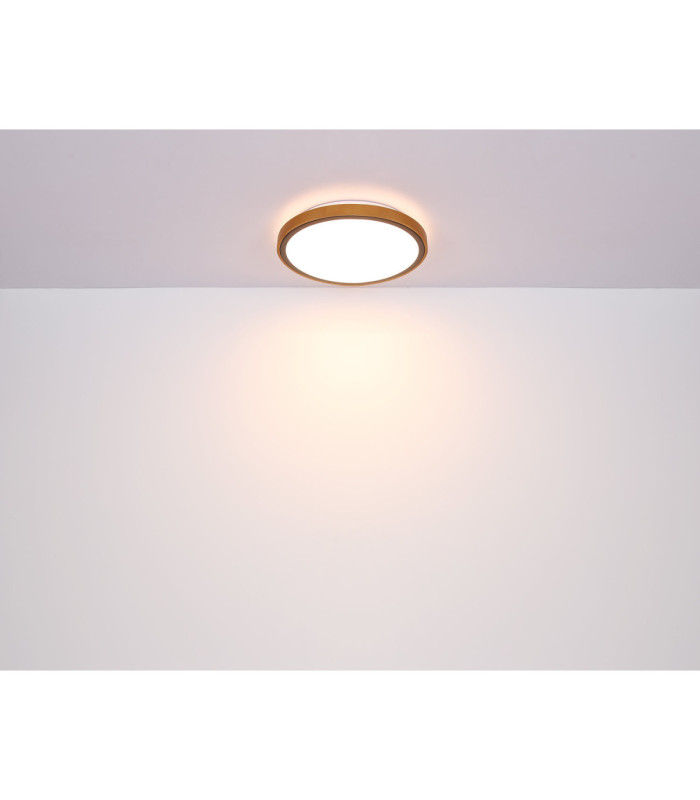 Bruno Integrated LED Flush Ceiling Light Matt Black 3000-4500-6000K-8