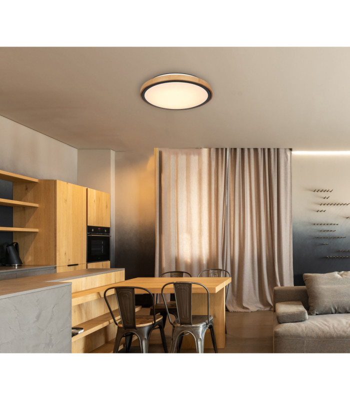 Bruno Integrated LED Flush Ceiling Light Matt Black 3000-4500-6000K-10