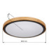 Bruno Integrated LED Flush Ceiling Light Matt Black 3000-4500-6000K-12