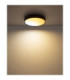 Jess Integrated LED Flush Ceiling Light, Matt Black 1800-12000K