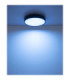 Jess Integrated LED Flush Ceiling Light, Matt Black 1800-12000K
