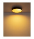 Jess Integrated LED Flush Ceiling Light, Matt Black 1800-12000K
