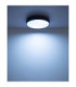 Jess Integrated LED Flush Ceiling Light, Matt Black 1800-12000K