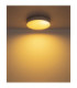Jess Integrated LED Flush Ceiling Light, Matt White 1800-12000K