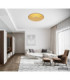 Heda Integrated LED Decorative Flush Ceiling Light Gold Colours 3000K-5