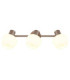 Eileen Ceiling Spotlight Bar Matt Coffee Colour  3x E27-4