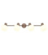 Eileen Ceiling Spotlight Bar Matt Coffee Colour  4x E27-4