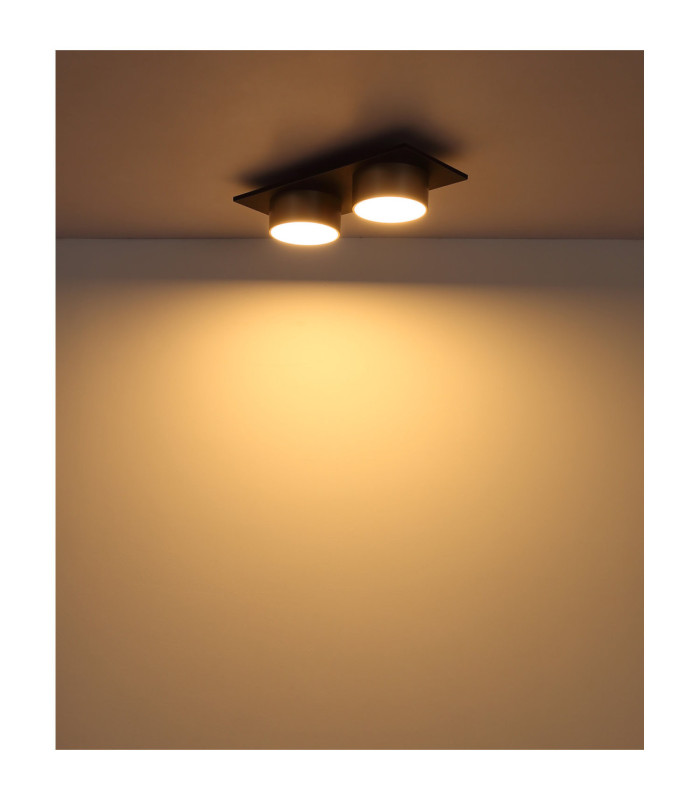 Raymond Twin Integrated Led Semi Flush Ceiling Light Matt Black 3000K-5