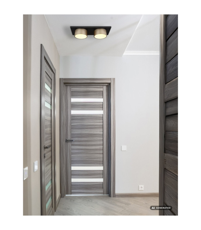 Raymond Twin Integrated Led Semi Flush Ceiling Light Matt Black 3000K-6