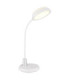 Kirk Integrated LED Desk Task Lamp Matt White 3000-4000-6000K-5