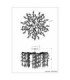 Danna Ceiling Light Chrome Smoke Glass Crystal 8x G9-6